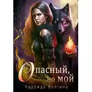 Постер книги Опасный, но мой