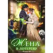 Постер книги Жена в лотерею