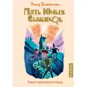 Постер книги Тайна сгоревшего коттеджа