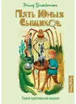 Энид Блайтон - Тайна пропавшей кошки
