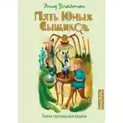 Постер книги Тайна пропавшей кошки
