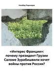 Кахабер Родинадзе - «Интерес Франции»: почему президент Грузии Саломе Зурабишвили хочет войны против России?