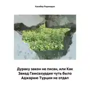 Постер книги Дураку закон не писан, или Как Звиад Гамсахурдия чуть было Аджарию Турции не отдал