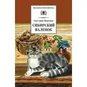 Постер книги Сибирский валенок