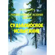 Постер книги Судьбоносное испытание