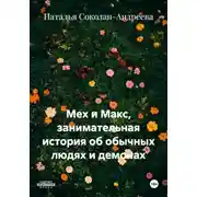 Постер книги Мех и Макс, занимательная история об обычных людях и демонах