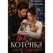 Постер книги Три котёнка для ветеринара