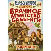 Постер книги Брачное агентство Бабы-Яги