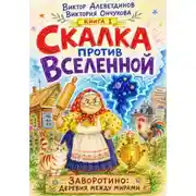 Постер книги Скалка против Вселенной