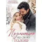 Постер книги Познакомилась на свою голову...