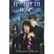 Постер книги Три цвета ночи