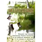 Постер книги Ангел-насмешник. Приключения Родиона Коновалова на его ухабистом жизненном пути от пионера до пенсионера. Книга первая. Школьные годы чудесные