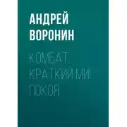 Постер книги Комбат. Краткий миг покоя