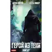 Постер книги Герой из тени. Книга 3