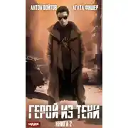 Постер книги Герой из тени. Книга 2