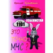 Постер книги Это точно МЧС? Узбекистан