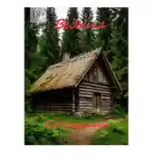 Постер книги Ведьма