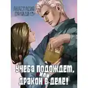 Постер книги Учеба подождет, или Дракон в деле!