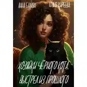 Постер книги Хозяйки черного кота. Выстрел из прошлого