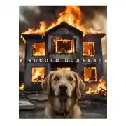 Постер книги У косого подъезда