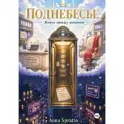 Постер книги Поднебесье: жизнь между жизнями