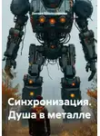 Динара Шляпошникова - Синхронизация. Душа в металле