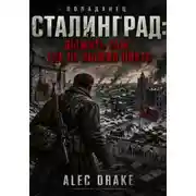 Постер книги Попаданец. Сталинград: Выжить там, где не выжил никто