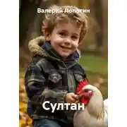 Постер книги Султан