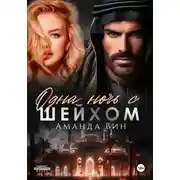 Постер книги Одна ночь с шейхом