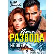 Постер книги После развода. Не зови, не вернусь