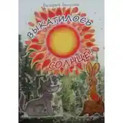Постер книги Выкатилось солнце