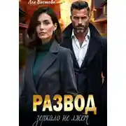 Постер книги Развод. Зеркало не лжёт