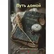 Постер книги Путь домой