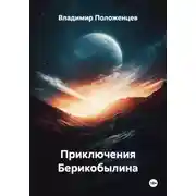 Постер книги Приключения Берикобылина