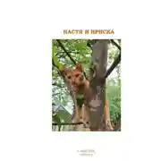 Постер книги Настя и Ириска