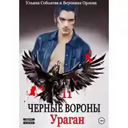 Постер книги Черные вороны 11. Ураган
