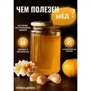 Постер книги Чем полезен МЁД?
