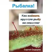 Постер книги Как поймать крупную рыбу на спиннинг