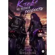 Постер книги К тебе на полной скорости