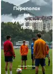 Александр Платонов - Переполох на футбольном поле