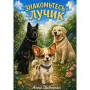 Постер книги Знакомьтесь - Лучик