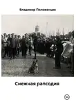 Владимир Положенцев - Снежная рапсодия