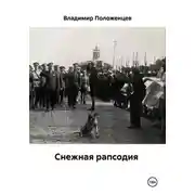 Постер книги Снежная рапсодия