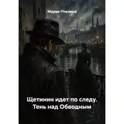Постер книги Щетинин идет по следу. Тень над Обводным