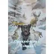 Постер книги Приключения Снежка