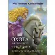 Постер книги Королевство тайных троп. Охота на принцессу