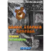 Постер книги Байки старого   прораба...