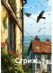 Александр МЕГОВ - Стриж