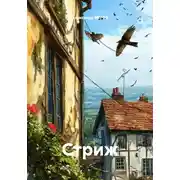 Постер книги Стриж