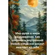 Постер книги Мир души в мире раздражения. Как сохранить внутренний покой, когда всё вокруг выводит из себя